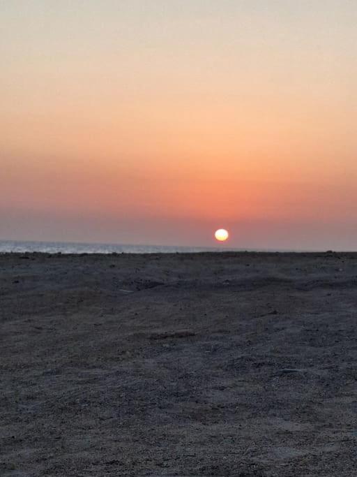 La Vi * Marsa Alam