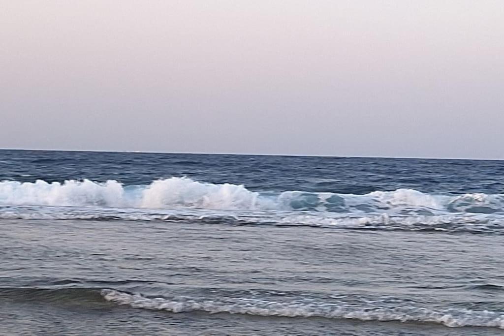 La Vi Marsa Alam